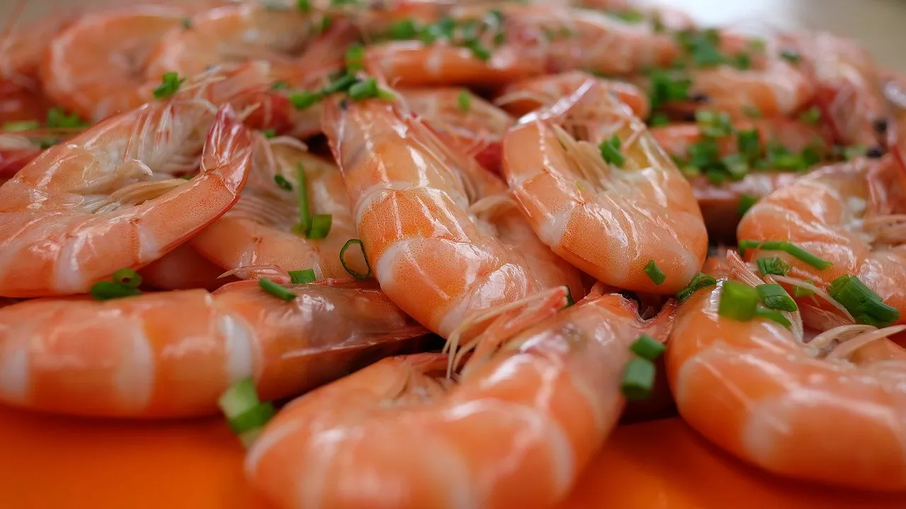 gambas