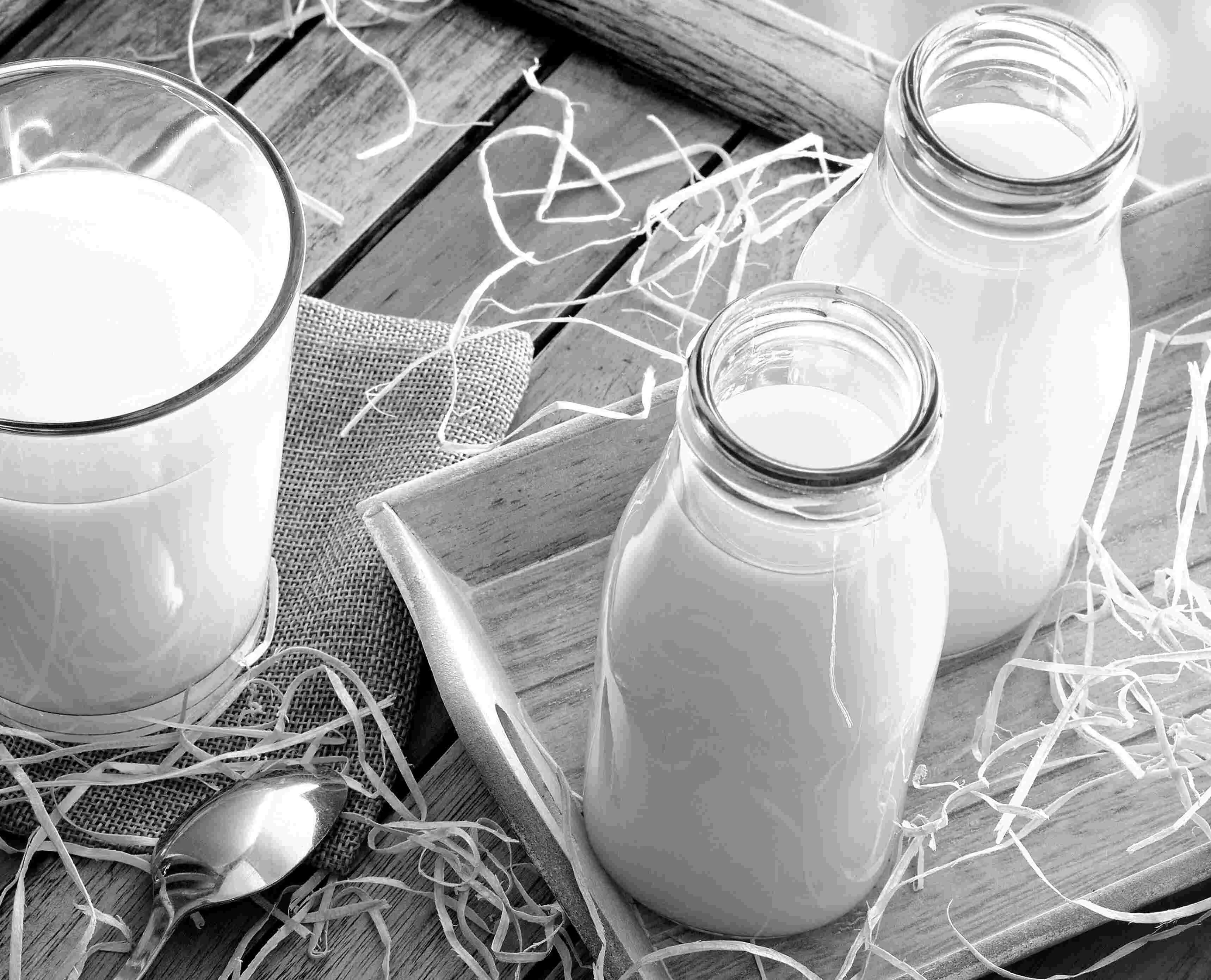 leche