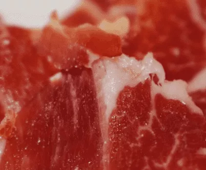 jamón