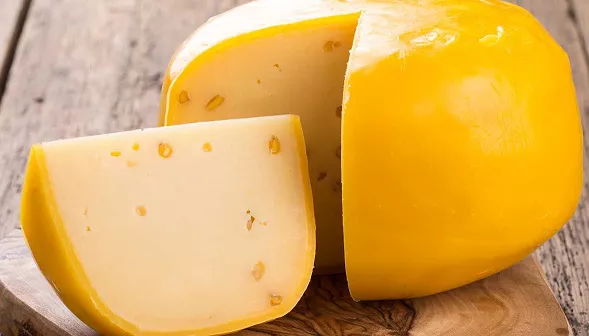 queso gouda