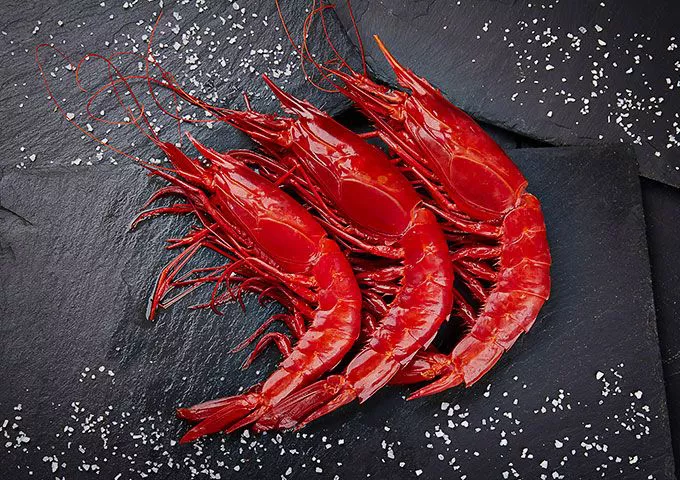 carabineros