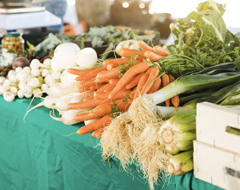 verduras