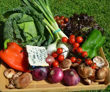 Croquetas Vegetarianas en España