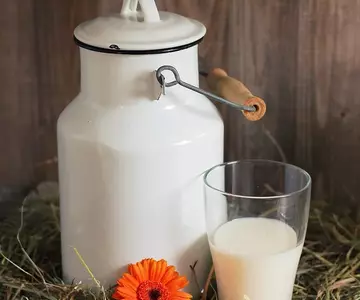 Cómo elegir la mejor leche para hacer croquetas